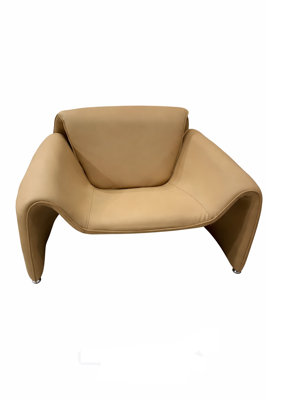 Imported Luxury Designer Lounge Chair in Ahmedabad | Premium Modern Accent Chair